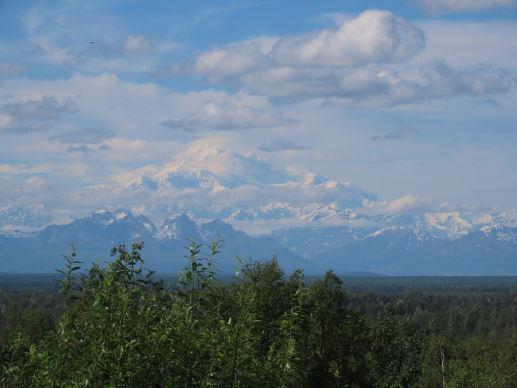 Denali rising above the Alaska wilderness on a clear summer day
