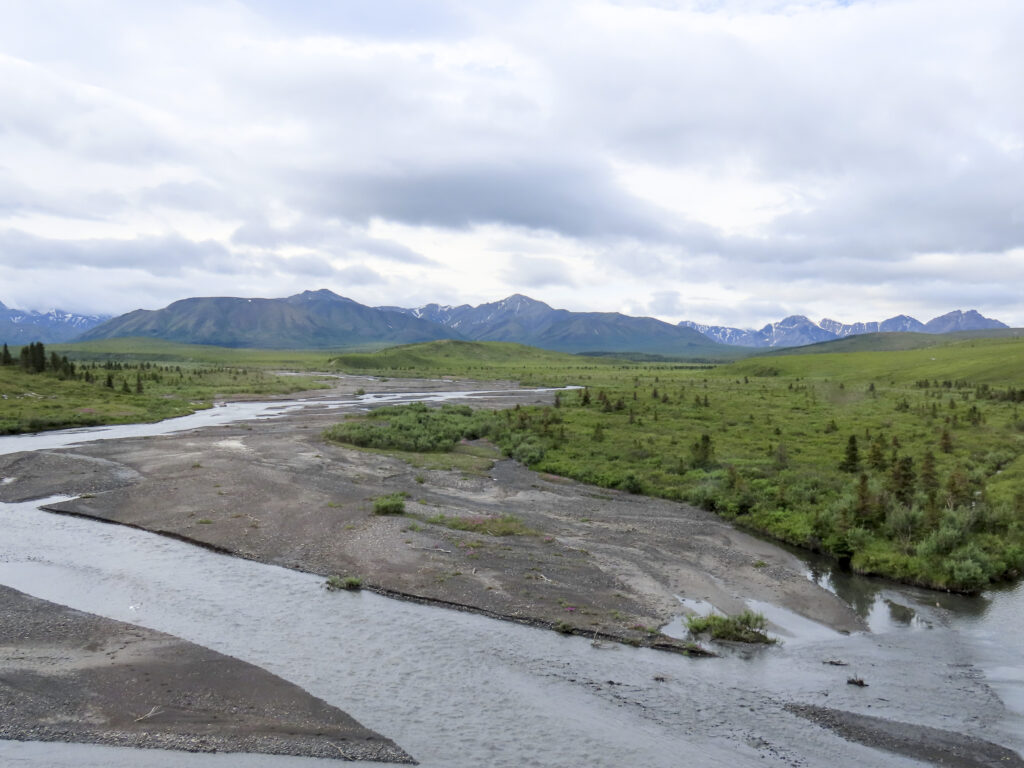 Denali National Park